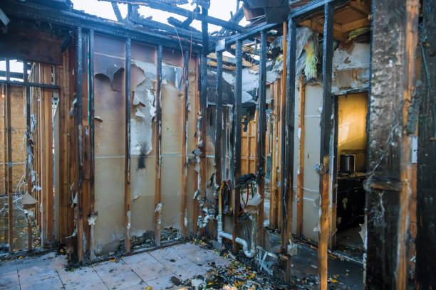Professional Fire Damage Removal technician working in Walhalla, SC